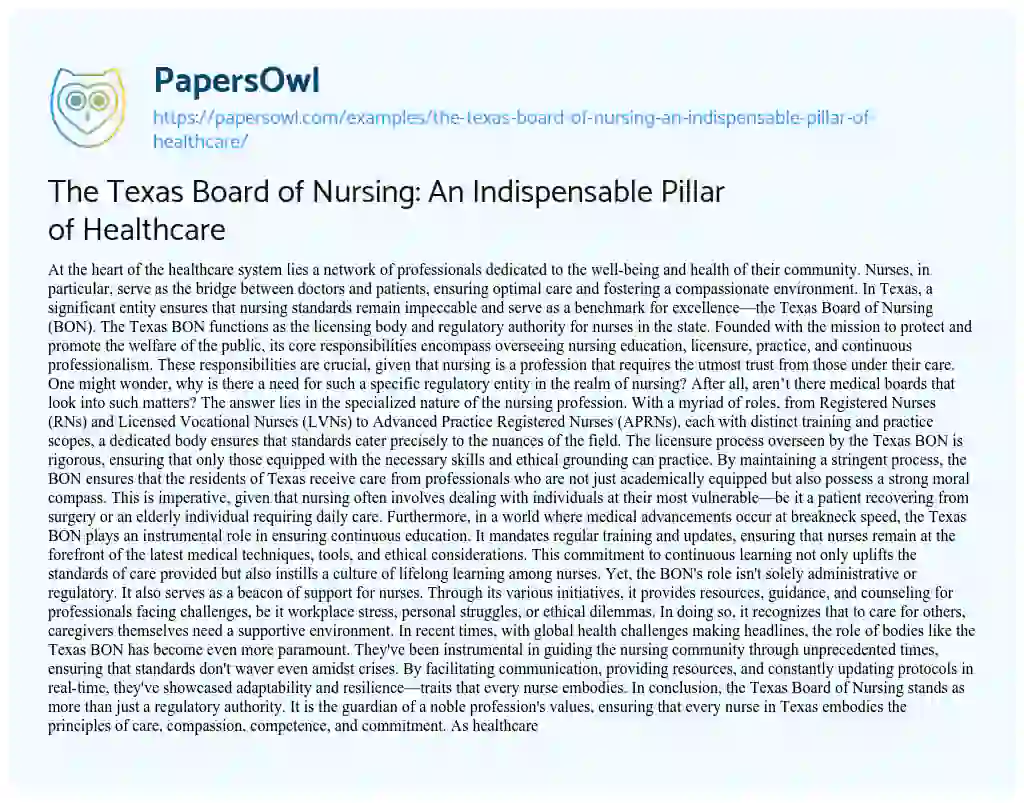 Essay on The Texas Board of Nursing: an Indispensable Pillar of Healthcare