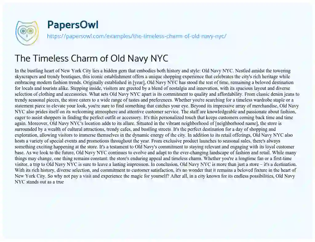 Essay on The Timeless Charm of Old Navy NYC
