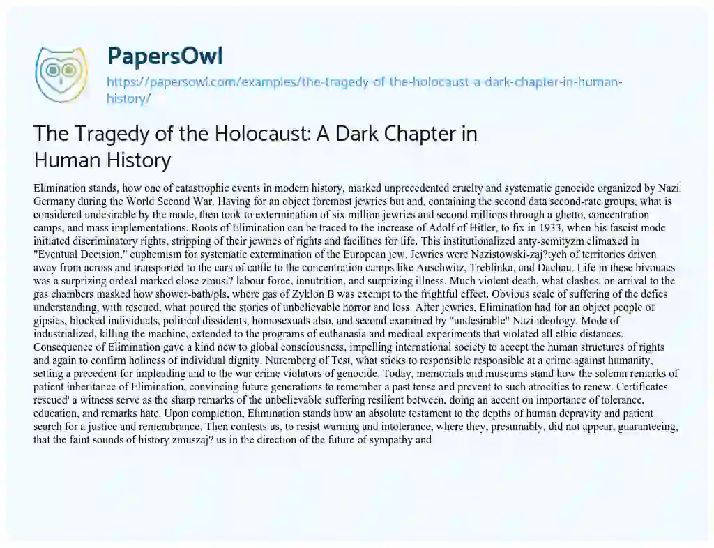 Essay on The Tragedy of the Holocaust: a Dark Chapter in Human History