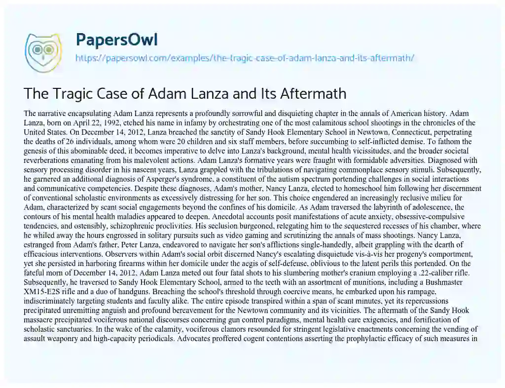 Essay on The Tragic Case of Adam Lanza and its Aftermath