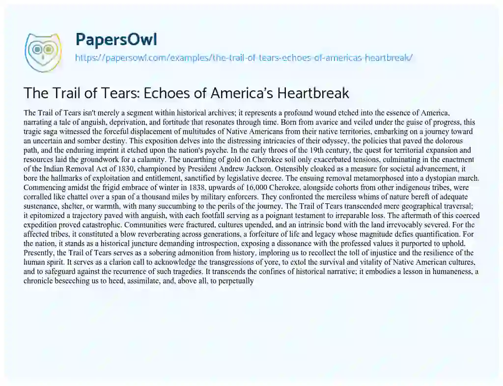 Essay on The Trail of Tears: Echoes of America’s Heartbreak