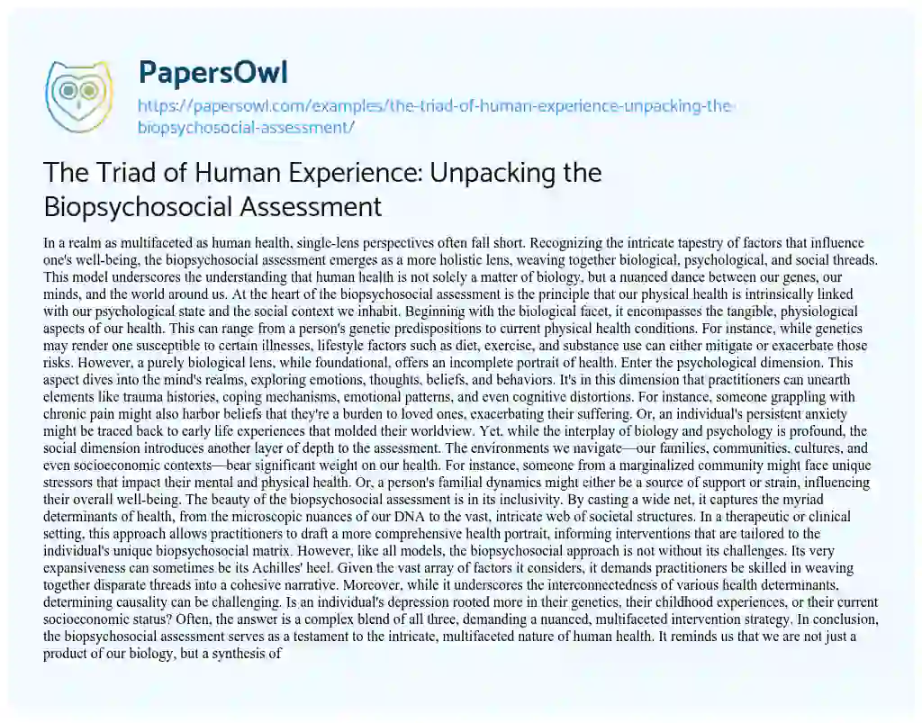 Essay on The Triad of Human Experience: Unpacking the Biopsychosocial Assessment