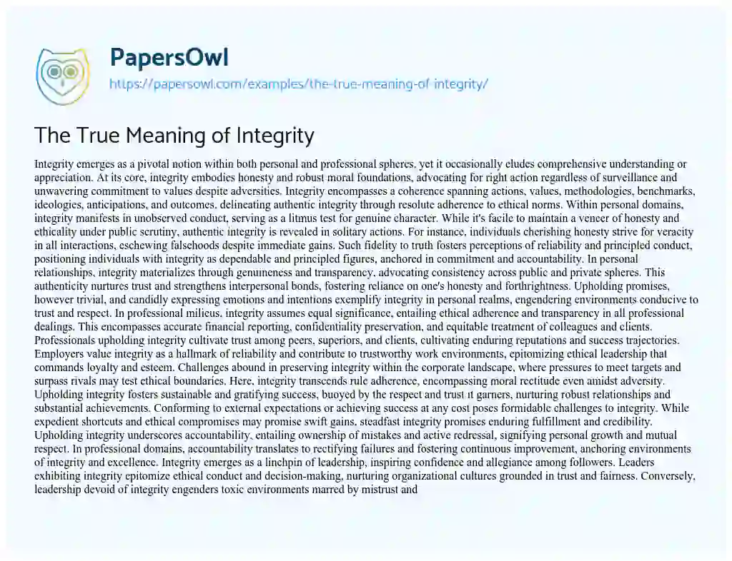 Essay on The True Meaning of Integrity