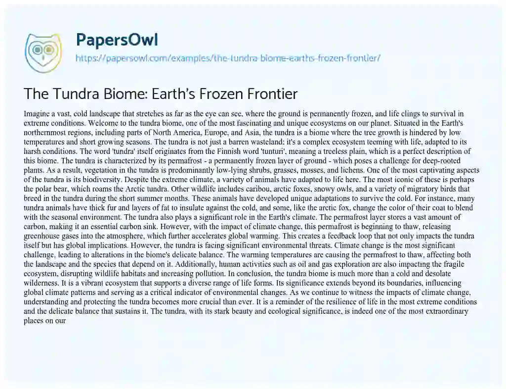 Essay on The Tundra Biome: Earth’s Frozen Frontier