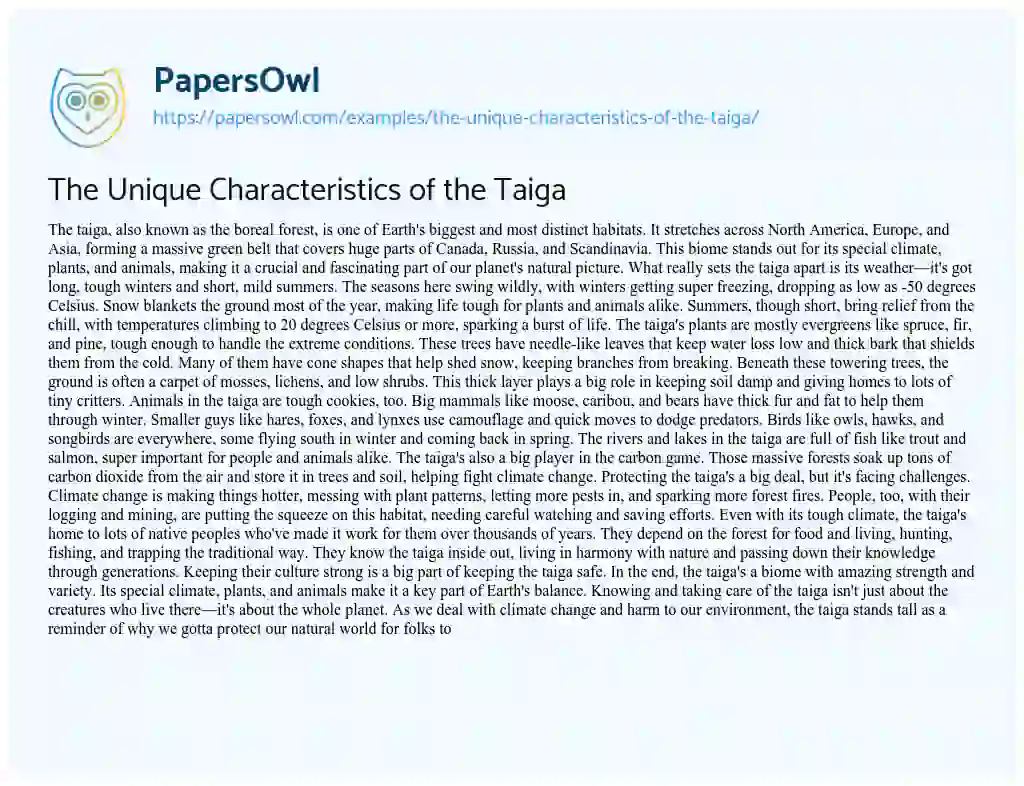 Essay on The Unique Characteristics of the Taiga