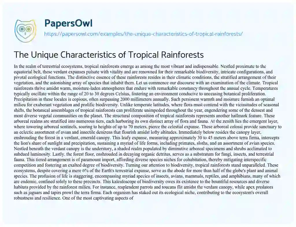 Essay on The Unique Characteristics of Tropical Rainforests