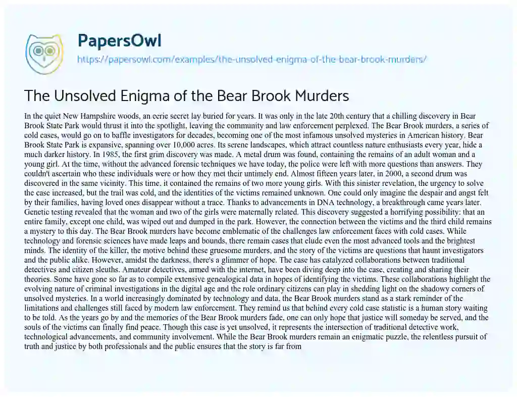 Essay on The Unsolved Enigma of the Bear Brook Murders