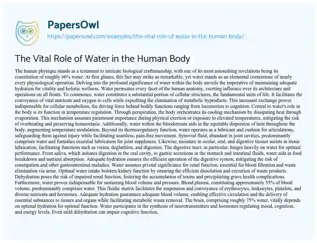 Essay on The Vital Role of Water in the Human Body
