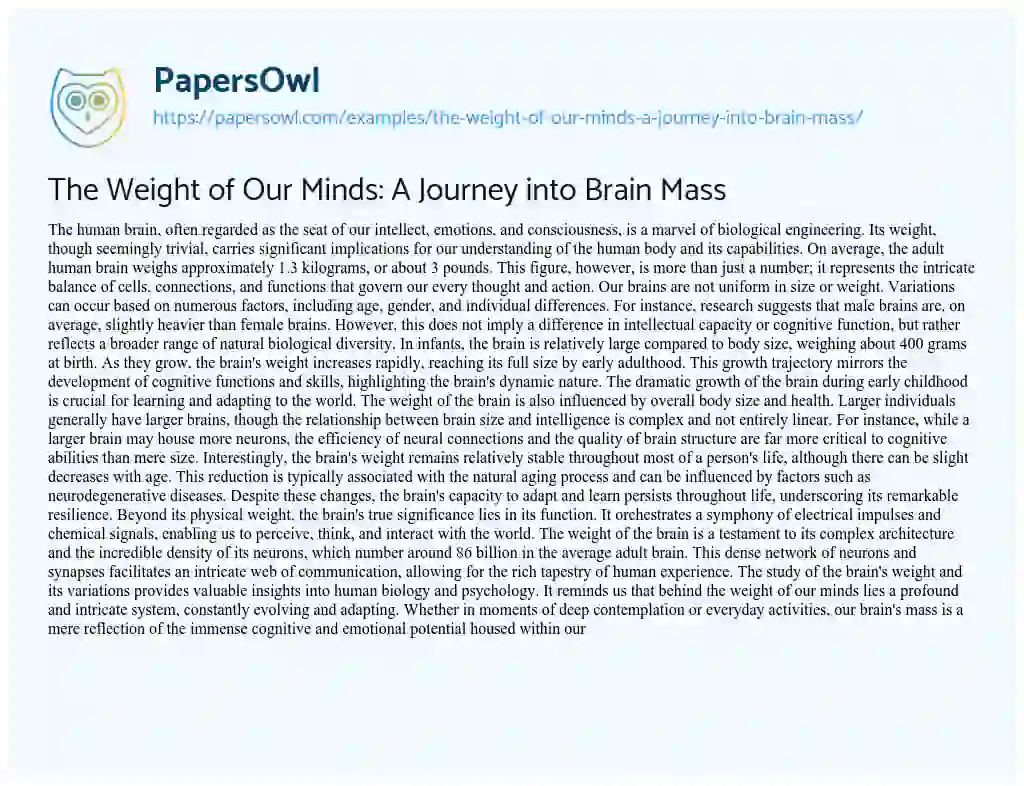 Essay on The Weight of our Minds: a Journey into Brain Mass