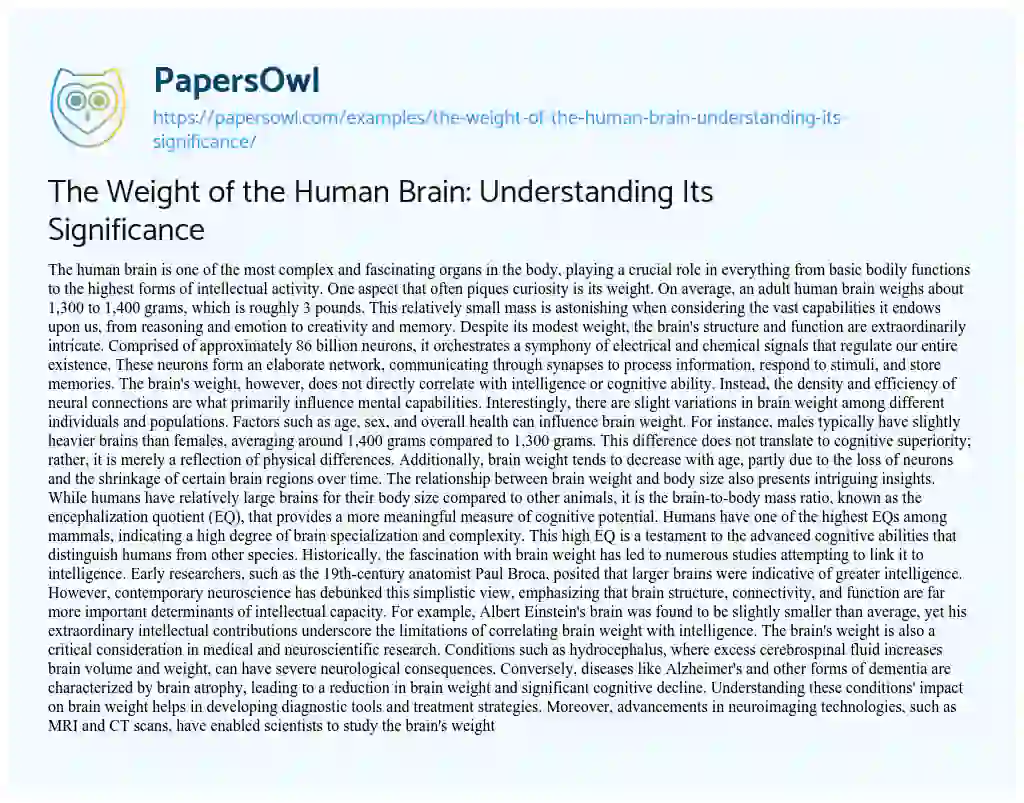 Essay on The Weight of the Human Brain: Understanding its Significance