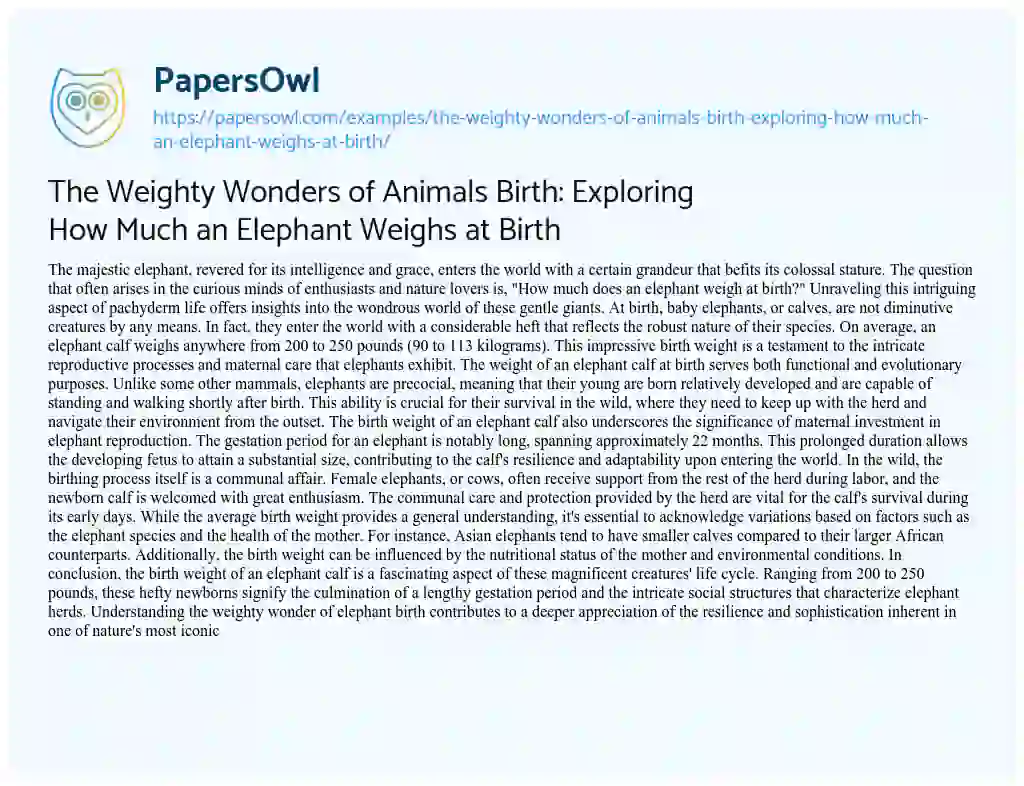 Essay on The Weighty Wonders of Animals Birth: Exploring How Much an Elephant Weighs at Birth