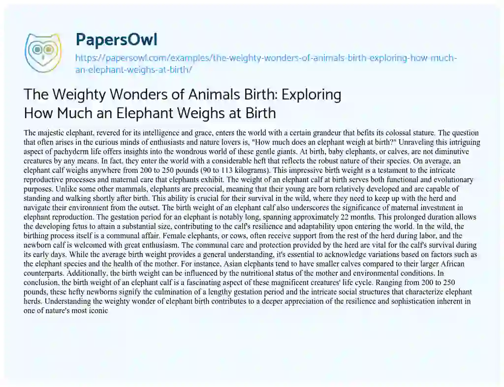 Essay on The Weighty Wonders of Animals Birth: Exploring how Much an Elephant Weighs at Birth