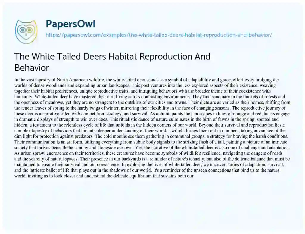 Essay on The White Tailed Deers Habitat Reproduction and Behavior