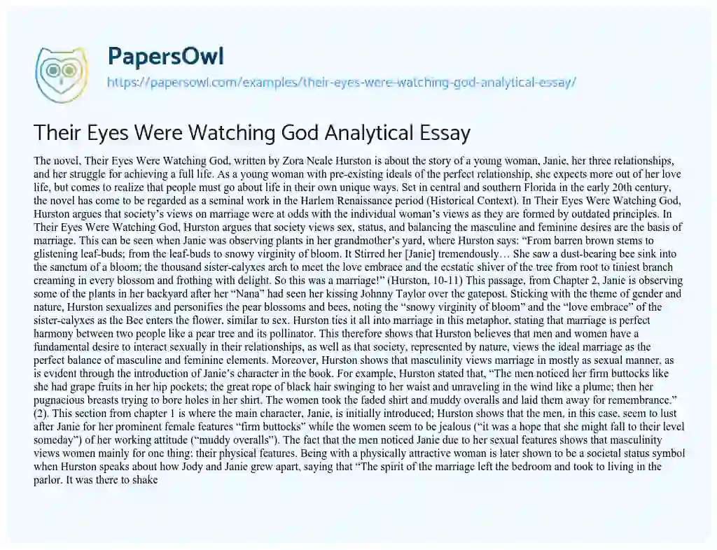Essay on Their Eyes were Watching God Analytical Essay