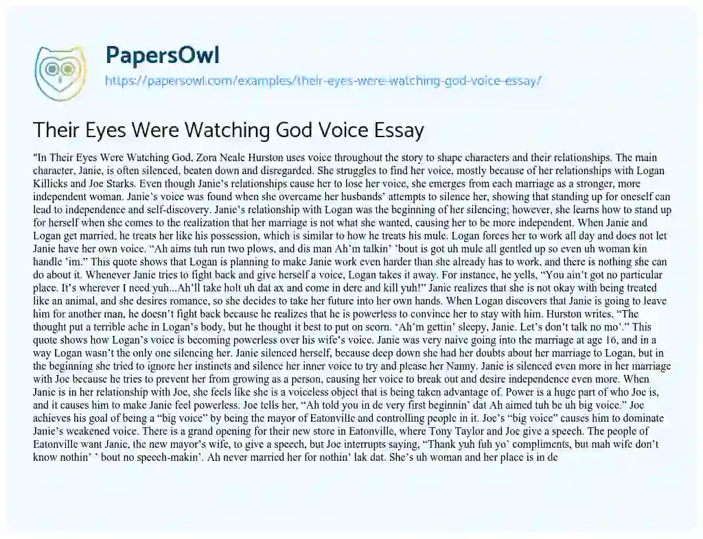 Their Eyes were Watching God Voice Essay essay