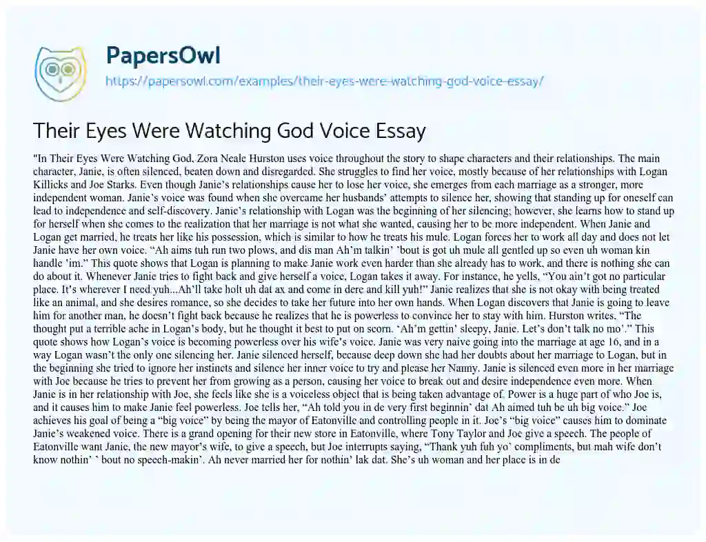 Essay on Their Eyes were Watching God Voice Essay