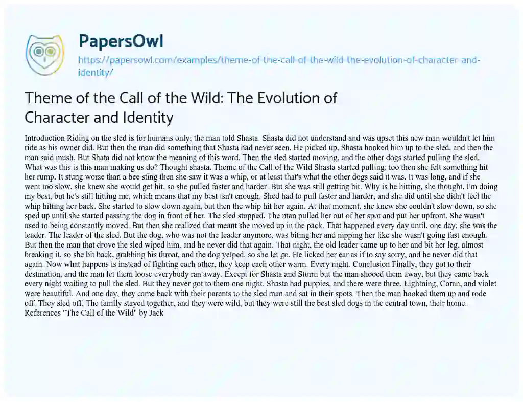 Essay on Theme of the Call of the Wild: the Evolution of Character and Identity