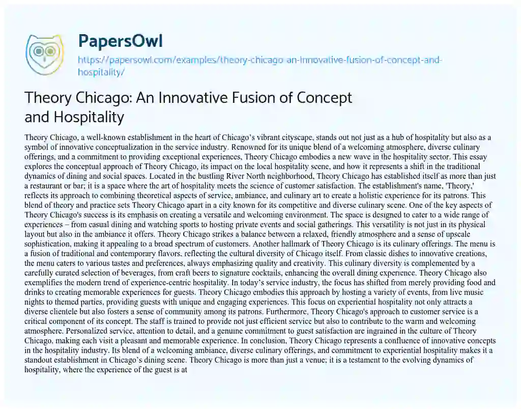 Essay on Theory Chicago: an Innovative Fusion of Concept and Hospitality