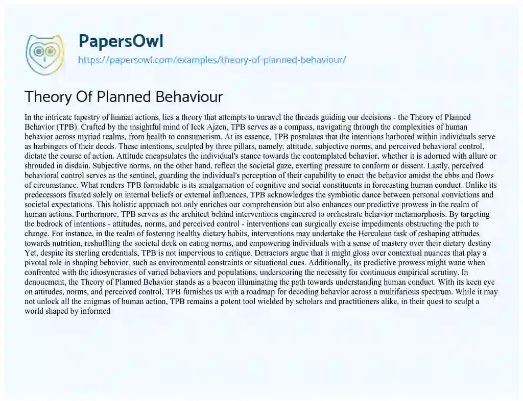 Essay on Theory of Planned Behaviour
