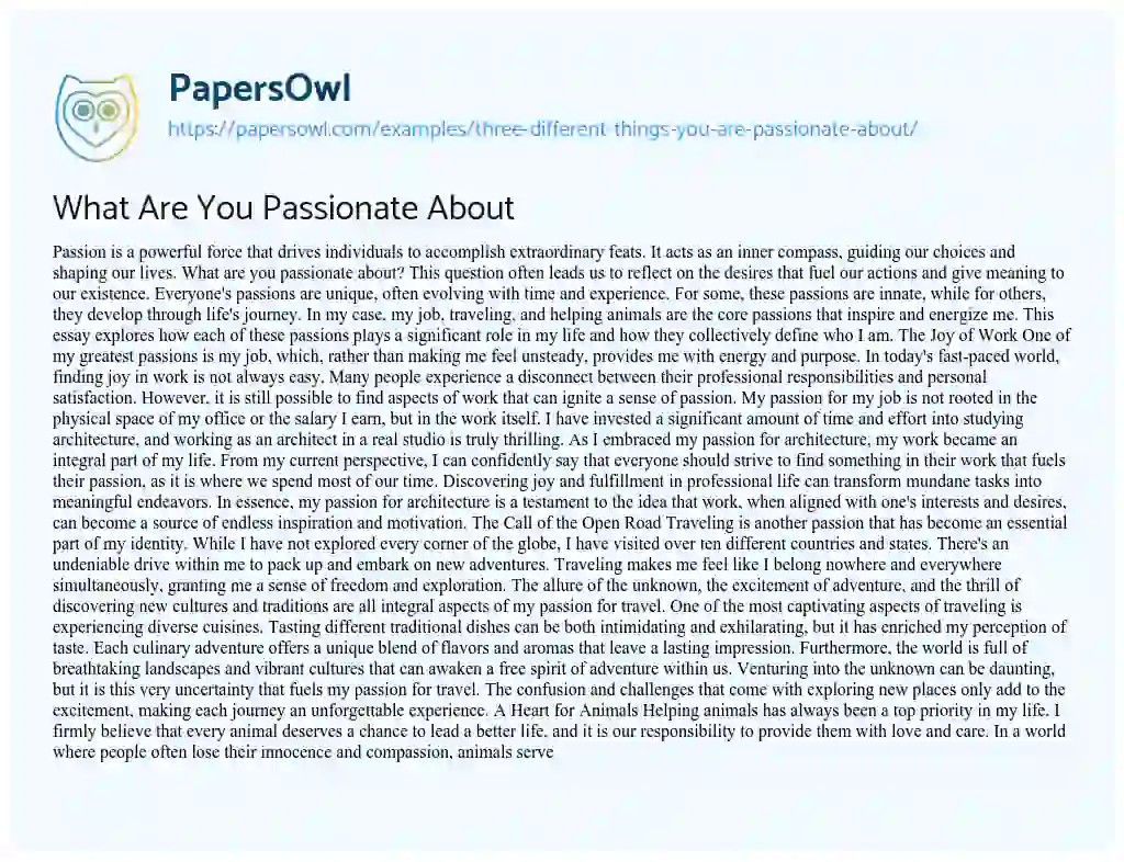 Essay on Three Different Things you are Passionate about