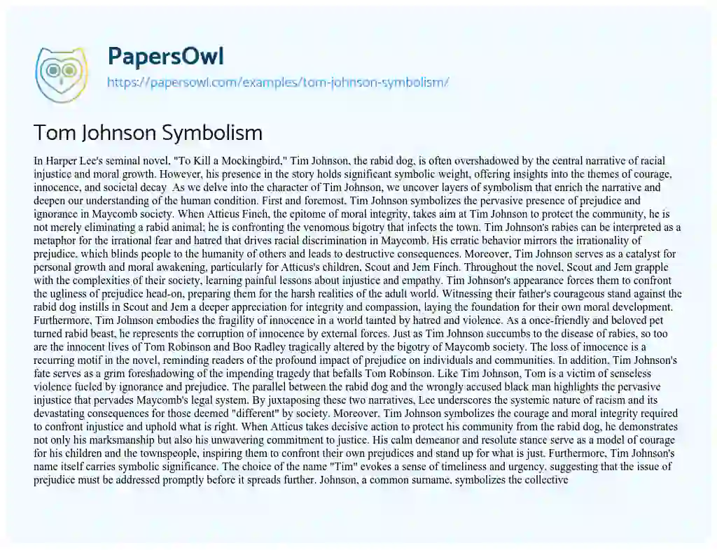 Essay on Tom Johnson Symbolism