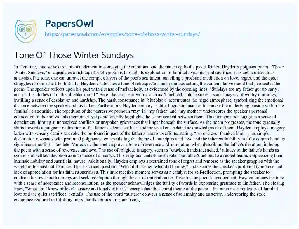 Essay on Tone of those Winter Sundays