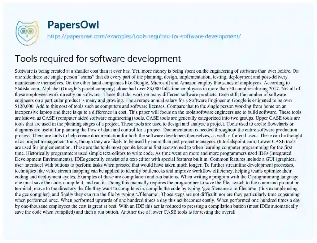 essay for software developer