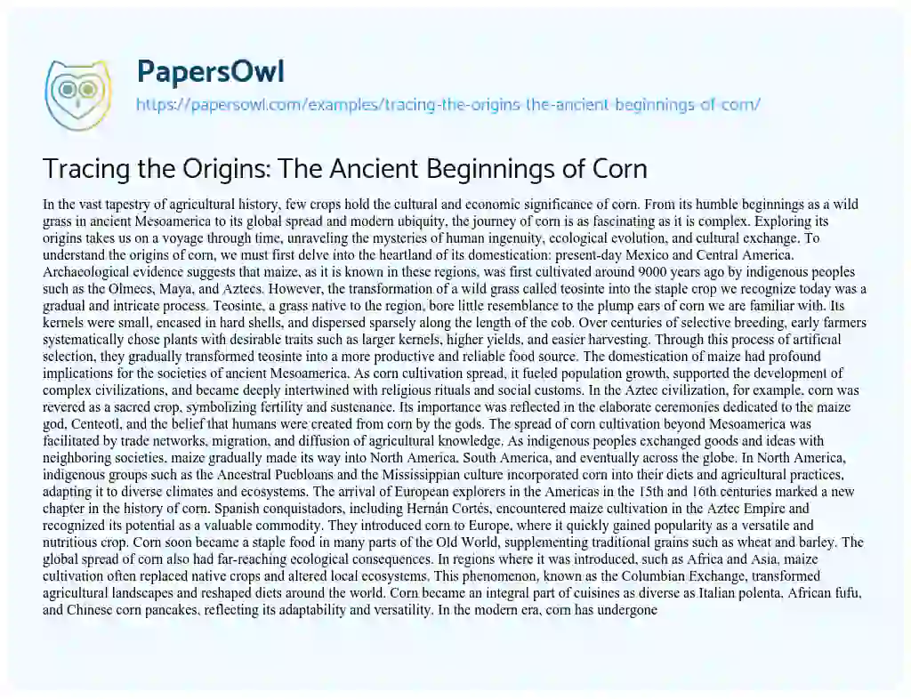 Essay on Tracing the Origins: The Ancient Beginnings of Corn