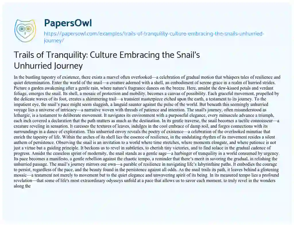 Essay on Trails of Tranquility: Culture Embracing the Snail’s Unhurried Journey