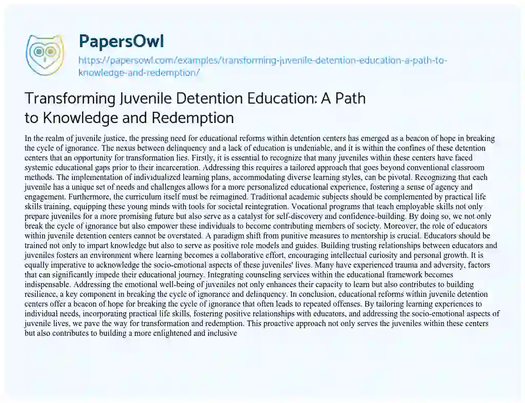 Essay on Transforming Juvenile Detention Education: a Path to Knowledge and Redemption