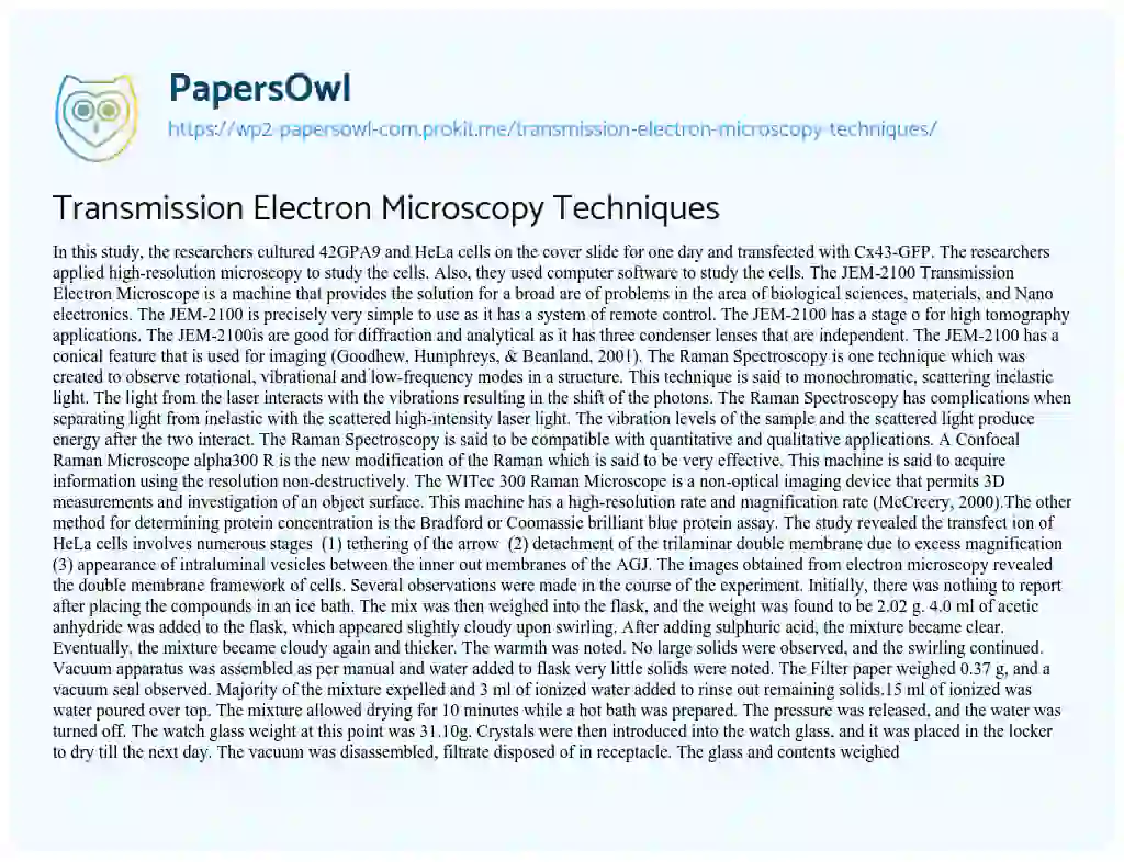 Essay on Transmission Electron Microscopy Techniques