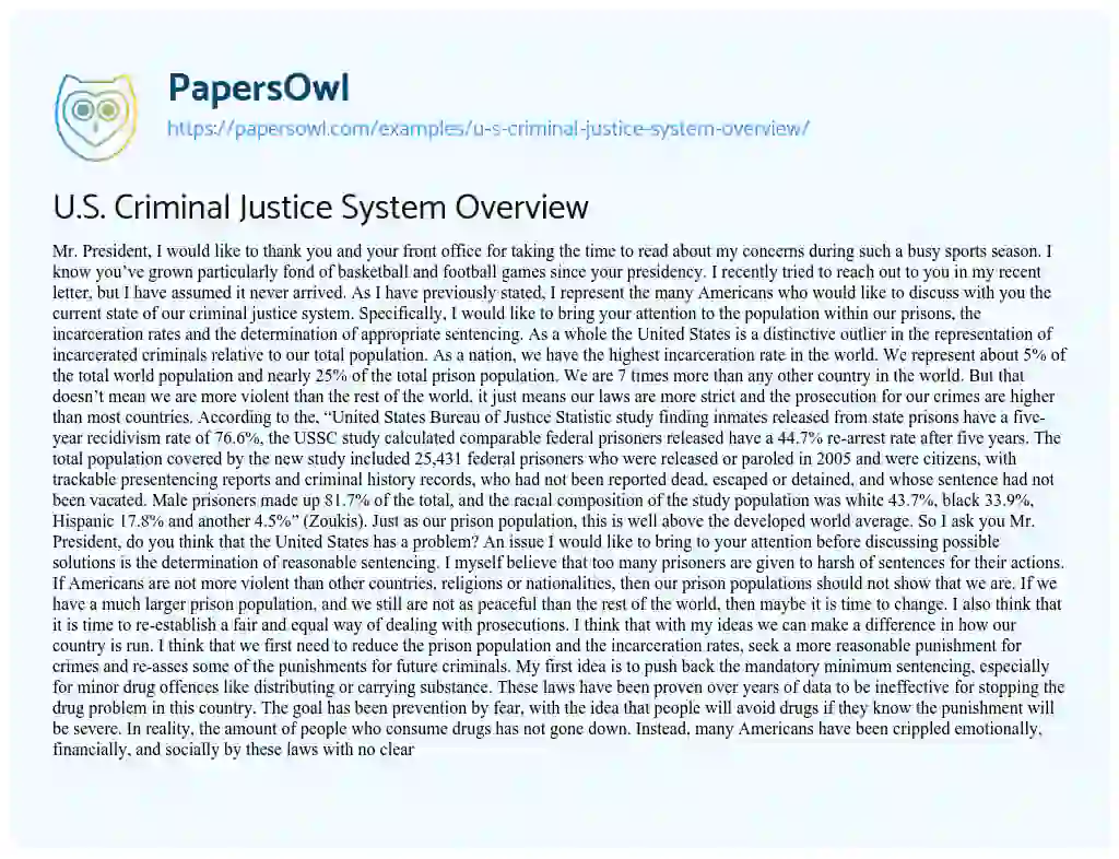 Essay on U.S. Criminal Justice System Overview