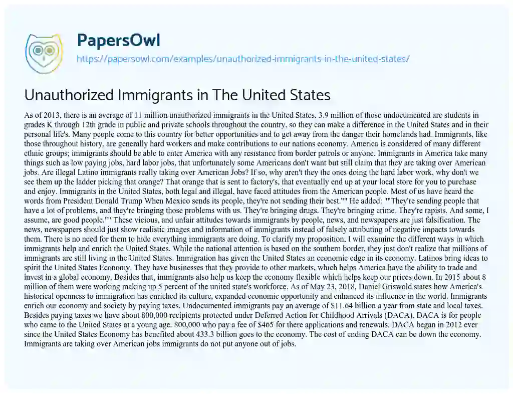 Unauthorized Immigrants in the United States essay