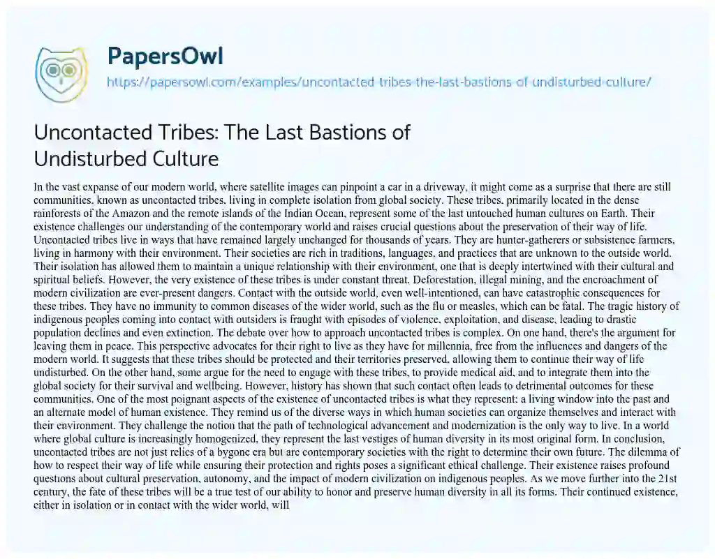 Essay on Uncontacted Tribes: the Last Bastions of Undisturbed Culture