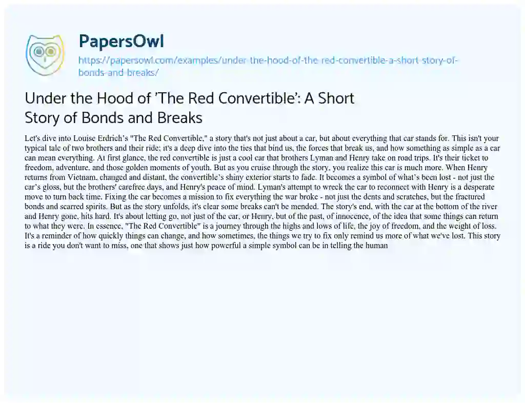 Essay on Under the Hood of ‘The Red Convertible’: a Short Story of Bonds and Breaks