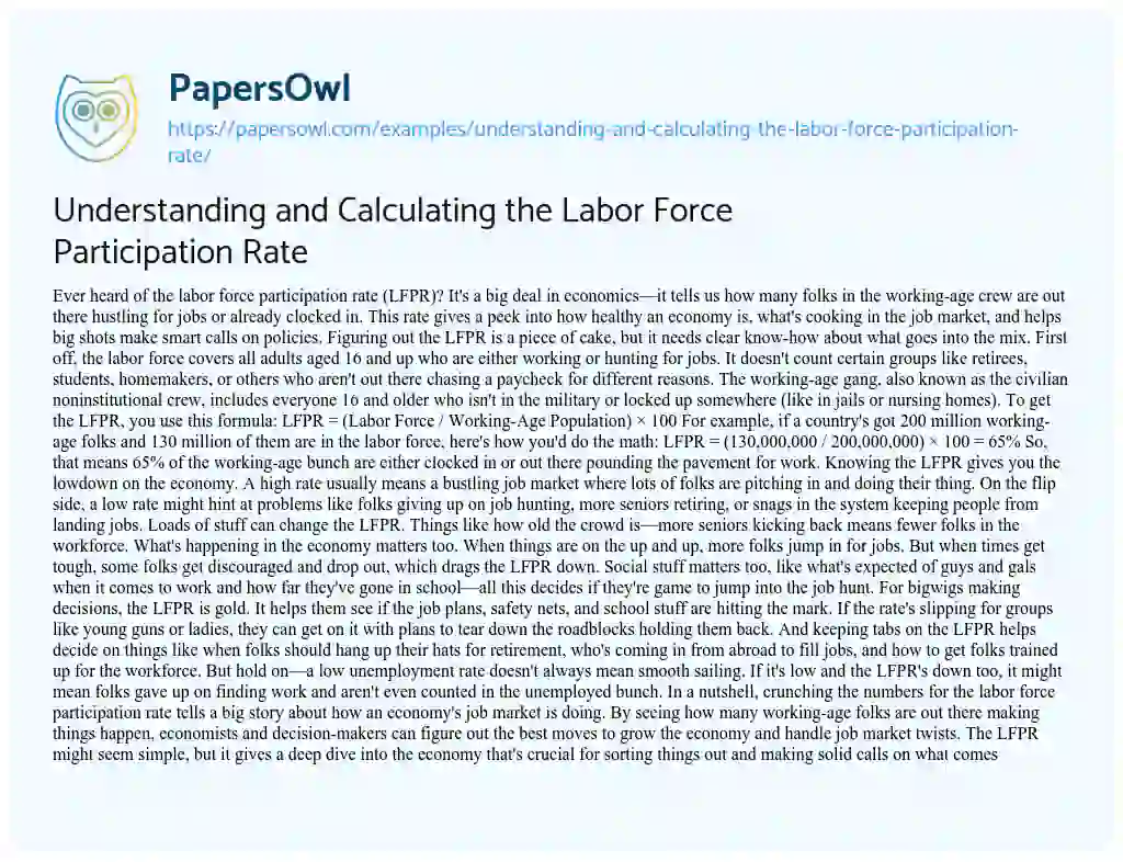 Essay on Understanding and Calculating the Labor Force Participation Rate