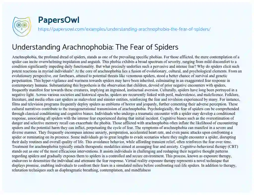 essay about fear of spiders