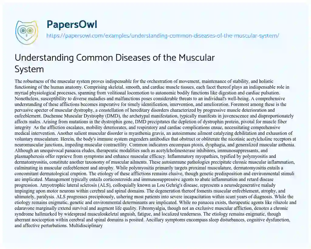 Essay on Understanding Common Diseases of the Muscular System