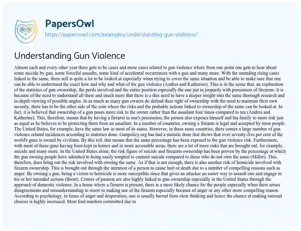 Essay on Understanding Gun Violence