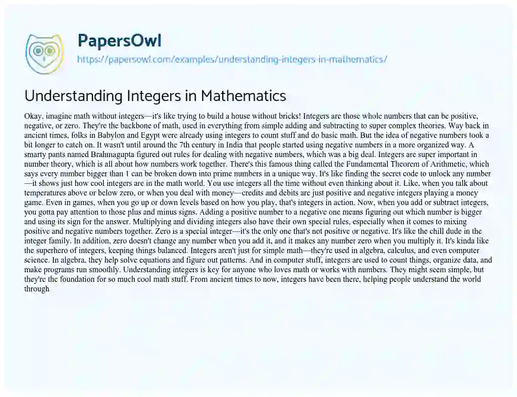 Essay on Understanding Integers in Mathematics