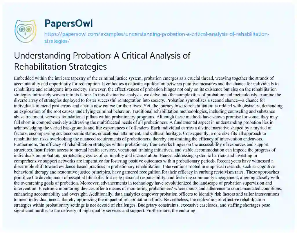 Essay on Understanding Probation: a Critical Analysis of Rehabilitation Strategies
