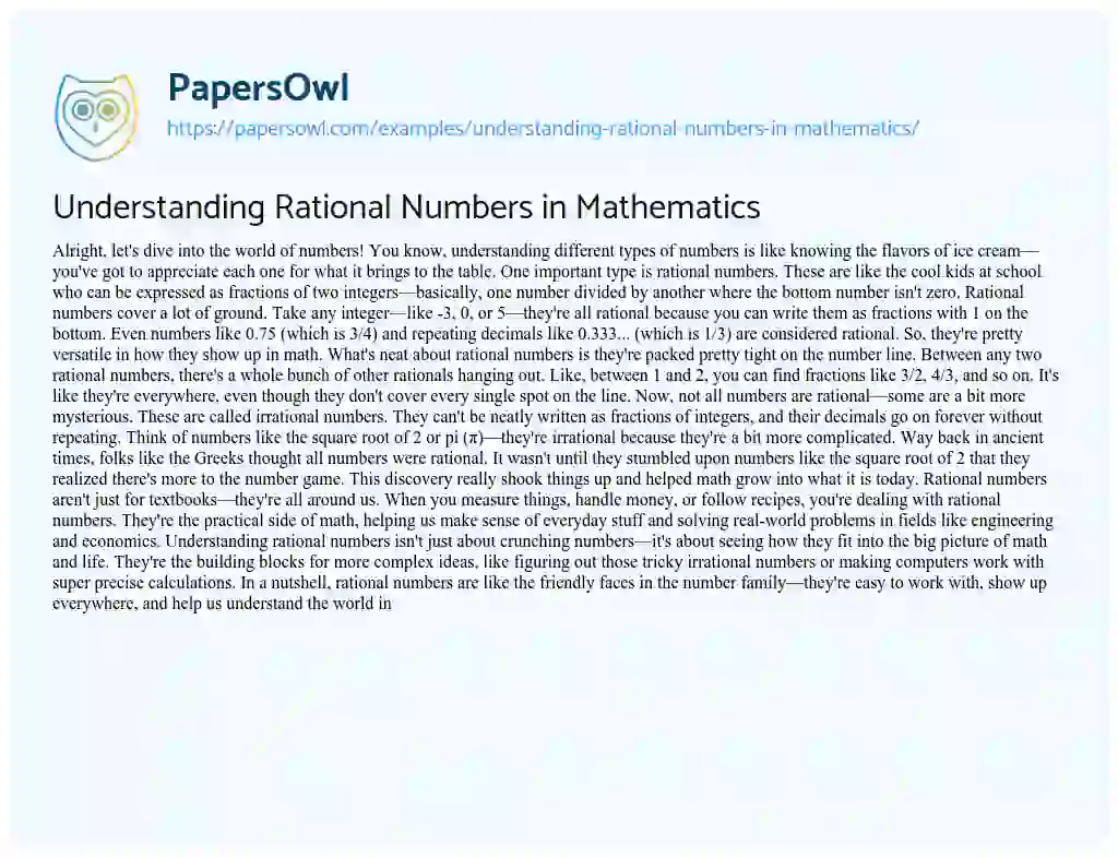 Essay on Understanding Rational Numbers in Mathematics