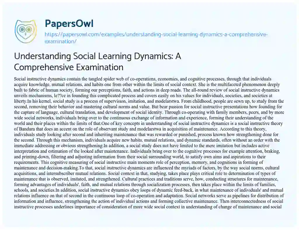 Essay on Understanding Social Learning Dynamics: a Comprehensive Examination