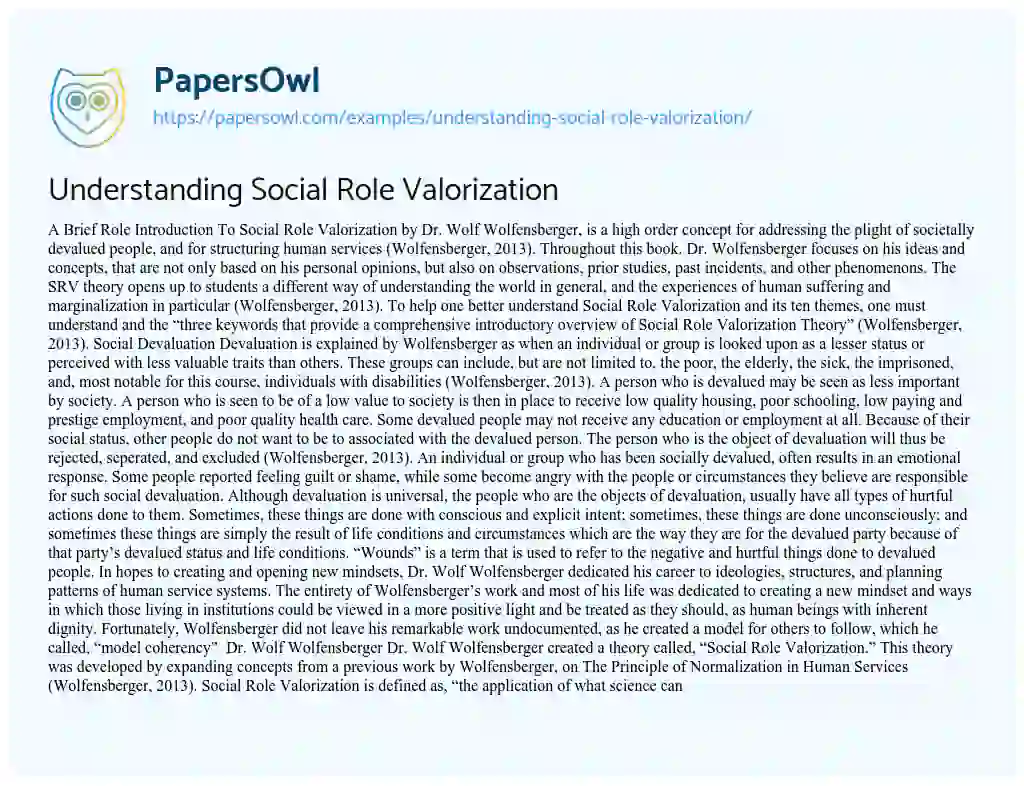 Essay on Understanding Social Role Valorization