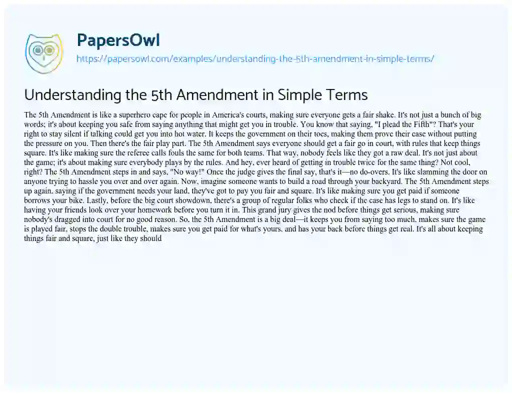 Essay on Understanding the 5th Amendment in Simple Terms