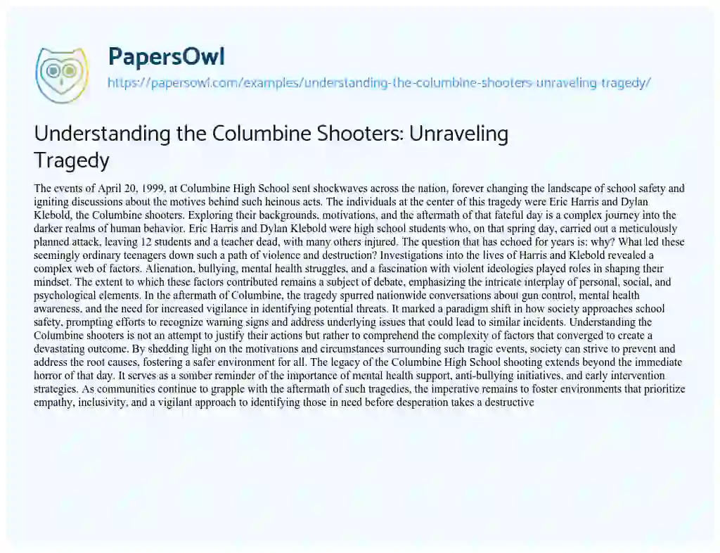 Essay on Understanding the Columbine Shooters: Unraveling Tragedy