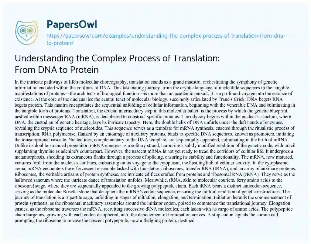 Essay on Understanding the Complex Process of Translation: from DNA to Protein