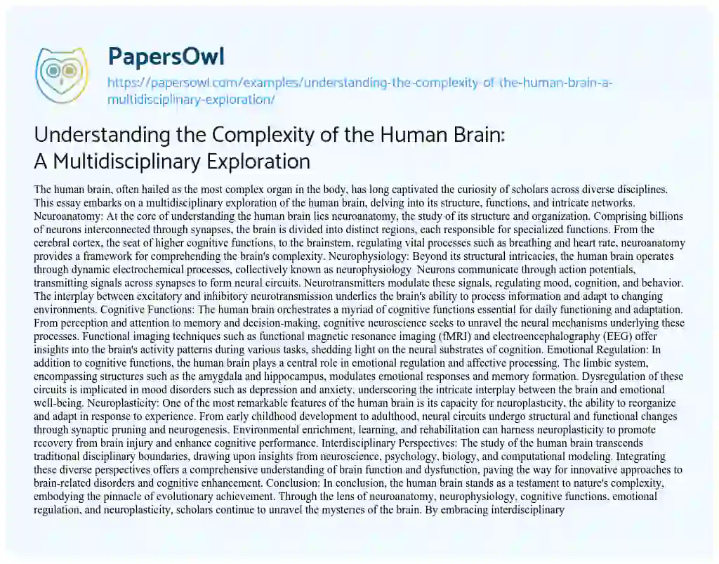 Essay on Understanding the Complexity of the Human Brain: a Multidisciplinary Exploration