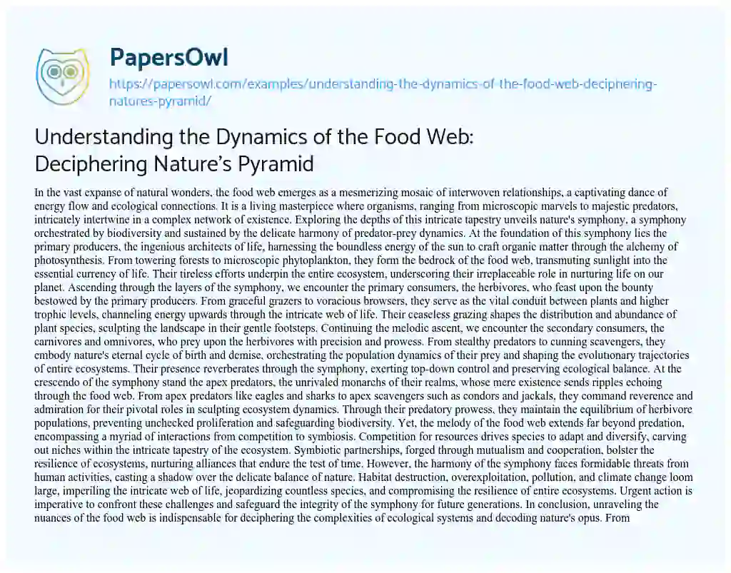 Essay on Understanding the Dynamics of the Food Web: Deciphering Nature’s Pyramid