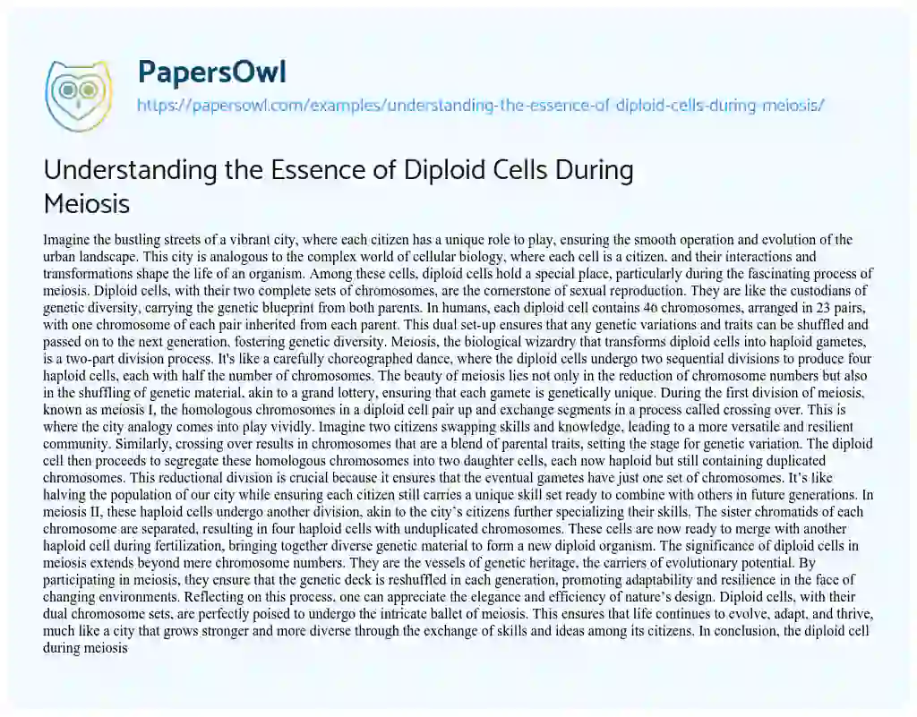 Essay on Understanding the Essence of Diploid Cells during Meiosis